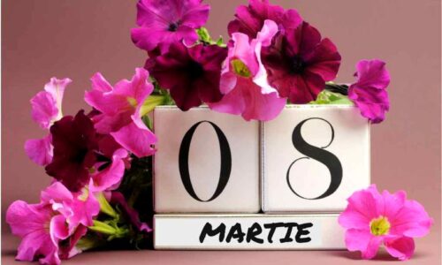 SURORILE S-AU BUCURAT ÎMPREUNĂ CU OCAZIA ZILEI DE 8 MARTIE 2017