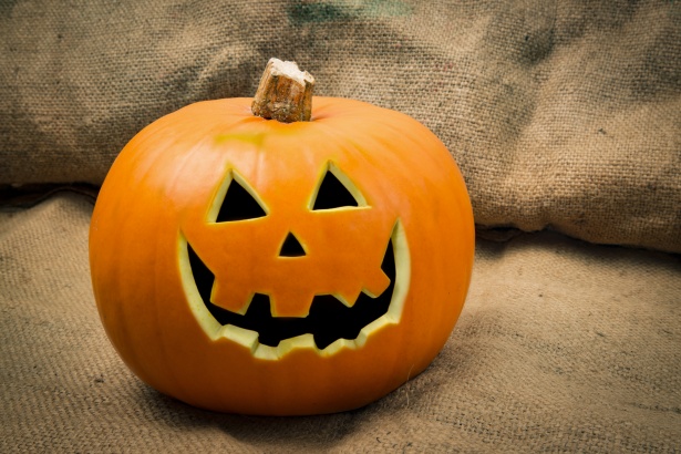 BOSTAN HALLOWEEN BOSTAN HALLOWEEN