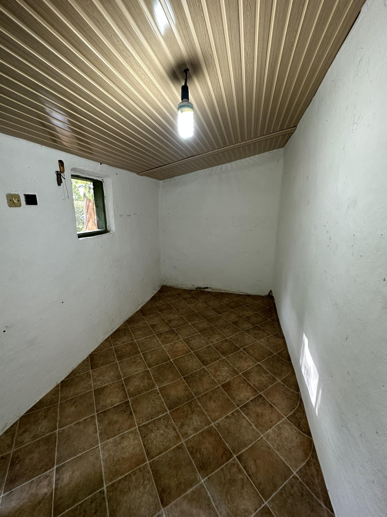 o zi pentru Domnul foto 7 o zi pentru Domnul foto 7